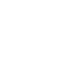 logo_maxracer